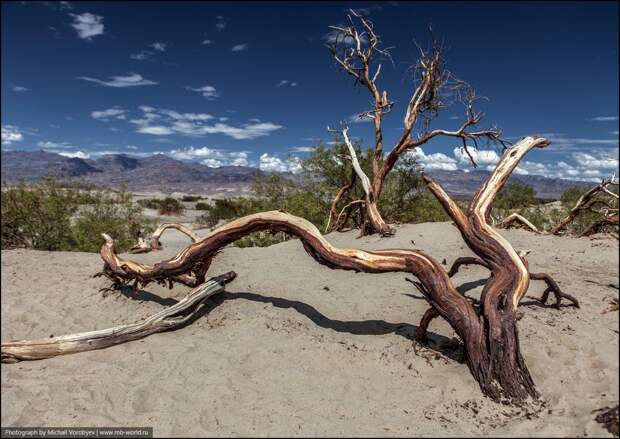 DeathValley04 Один день в Долине Смерти