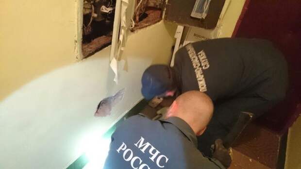 В Москве сотрудники МЧС разобрали стену и извлекли котенка из электрощитовой
