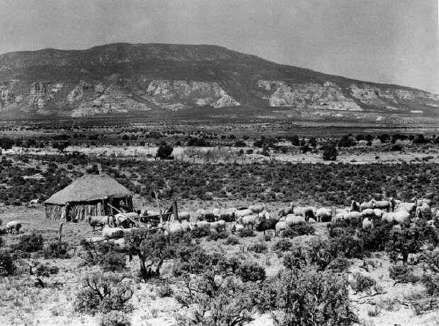 Горы Навахо. Юта, 1948 год.