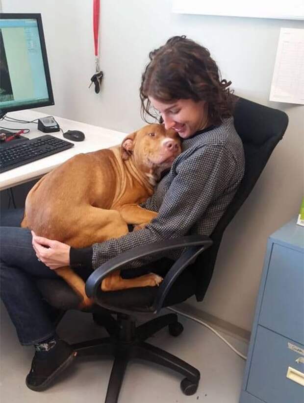 cute-animal-pictures-shelter-workers-356-5a8bd4b5f01f3__605
