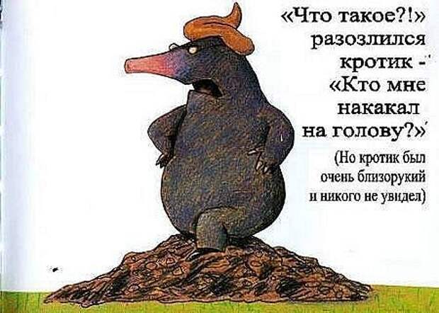 Неприятность с кротом
