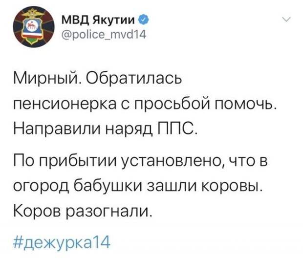 www.vsyako.net
