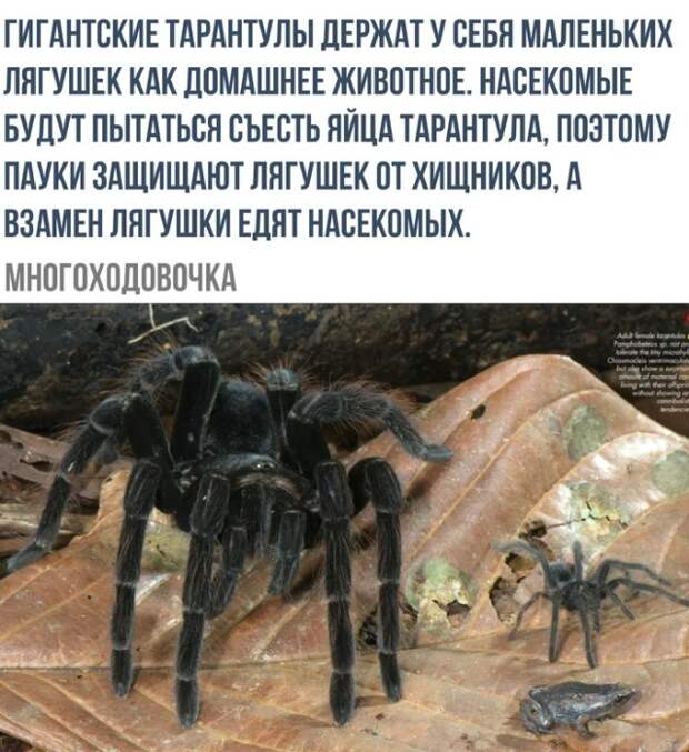 Смешные картинки (23 фото)
