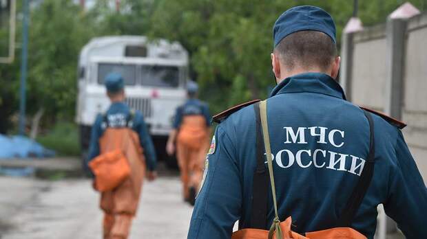 ТЦМК Свердловской области взял на контроль состояние найденных в лесу детей