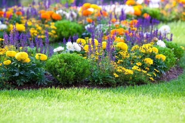multicolored flowerbed on a lawn. horizontal shot. small GRIP