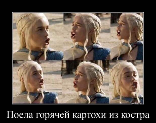 1604477226_demy-15.jpg