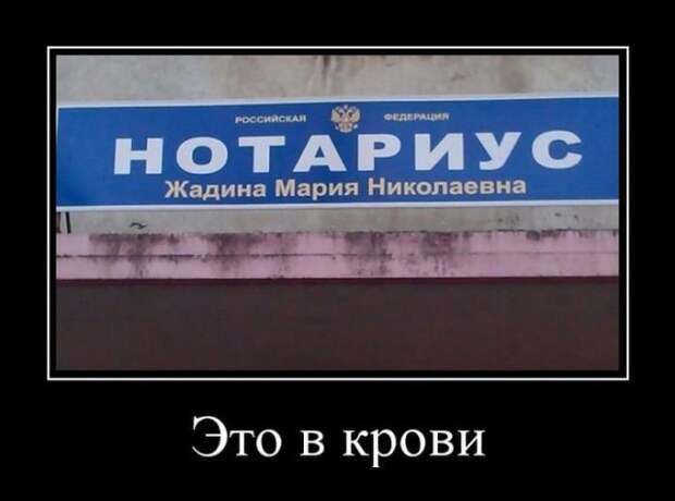 Демотиваторы (20 фото)
