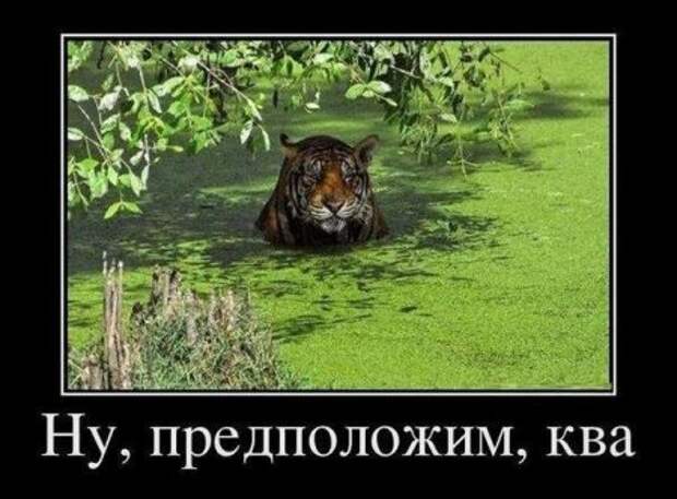 Забей на дождь - смотри приколы.