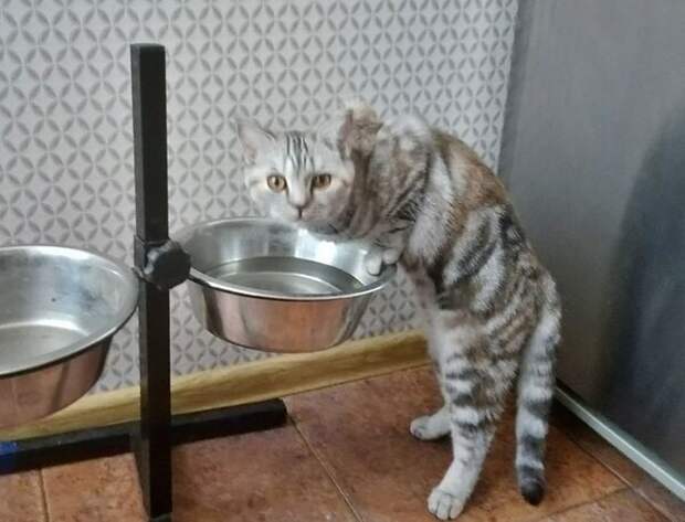 Я не пью из мелкой посуды!