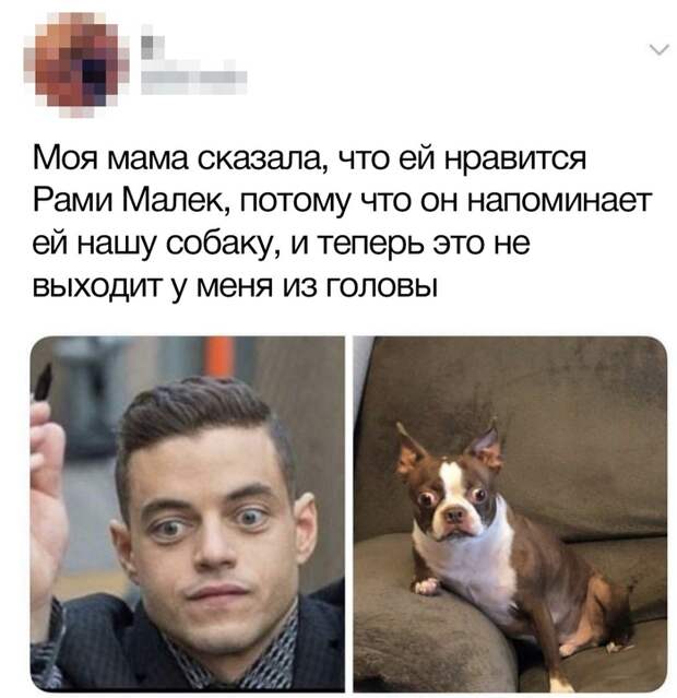 Хмммм... Хмммм...