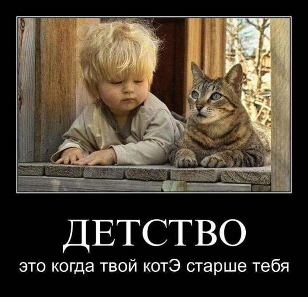 Картинки по запросу прикольные демотиваторы ржака