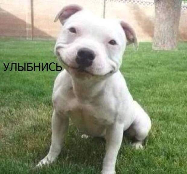 Прикольные картинки