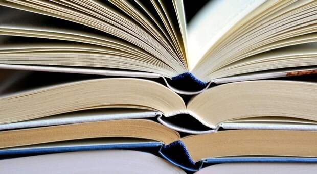 Фестиваль «Новая книга» в Новосибирске объединит более 80 издательств