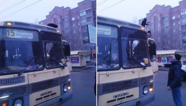 В Воронеже спасли кошку, которая ездила по городу на крыше маршрутки