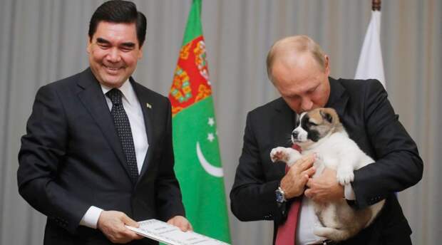 Животные, которых дарили президенту Владимиру Путину алабай, коза, крокодил, лошади, овчарка, собаки, тигренок