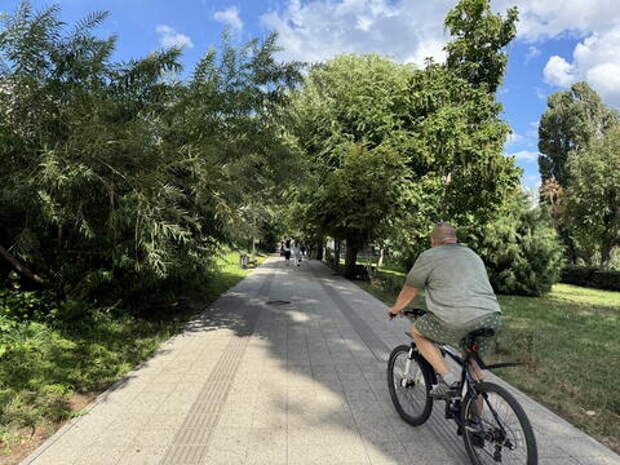 Мэрия Краснодара собирается потратить почти миллиард на озеленение в городе