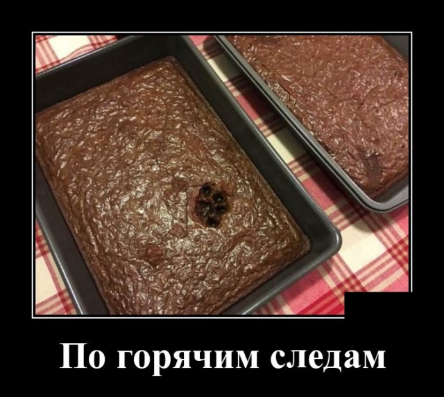 Демотиваторы (30 фото)