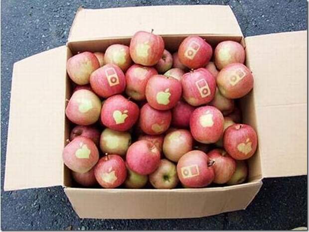 unusual-fruit-and-vegetables02