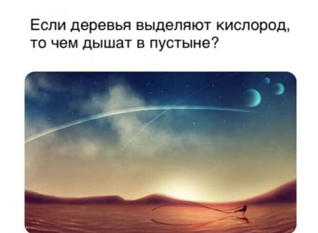 Картинки из серии 