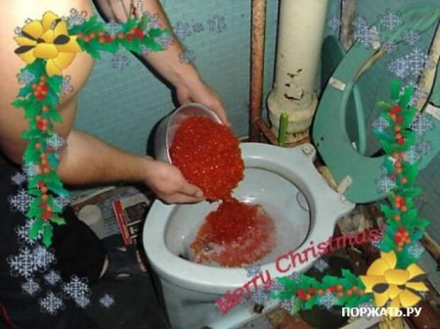 Подборка фото юмора...