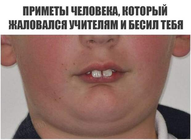 Прикольные картинки 24.08.17