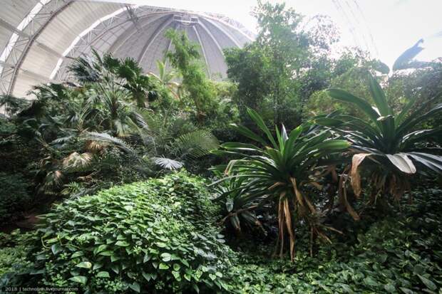 Tropical Islands - искусственный рай путешествия, факты, фото