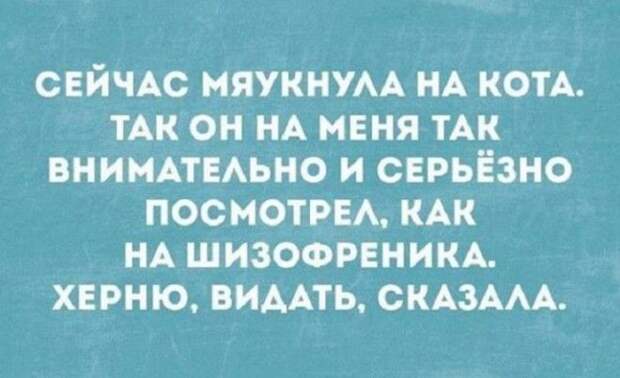 S10 уморительных историй для отличного настроения
