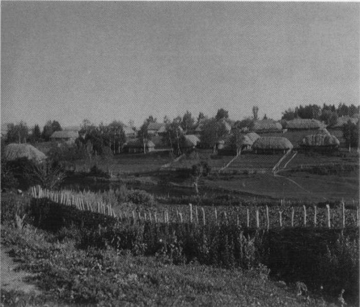 Деревня Ясная Поляна. Фотография «Шерер, Набгольц и К0». 1892 г.