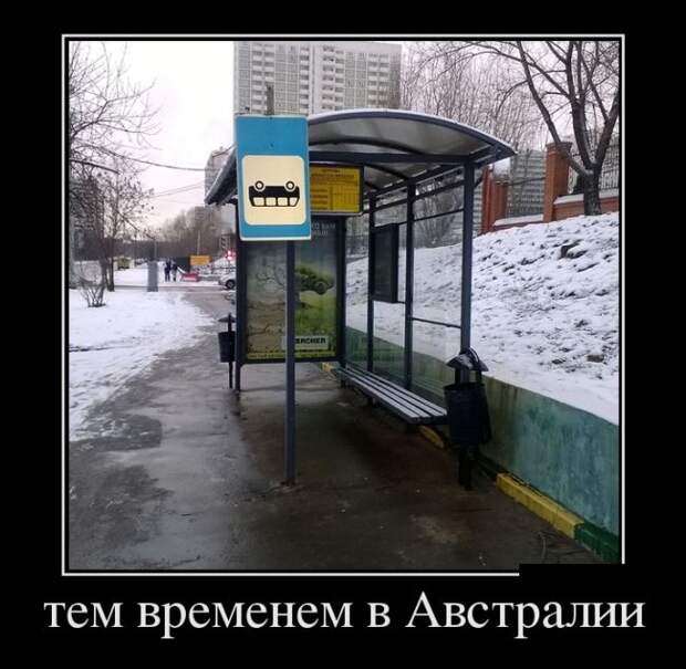 Подборка забавных демотиваторов для веселья (11 фото) Подборка забавных демотиваторов для веселья (11 фото)