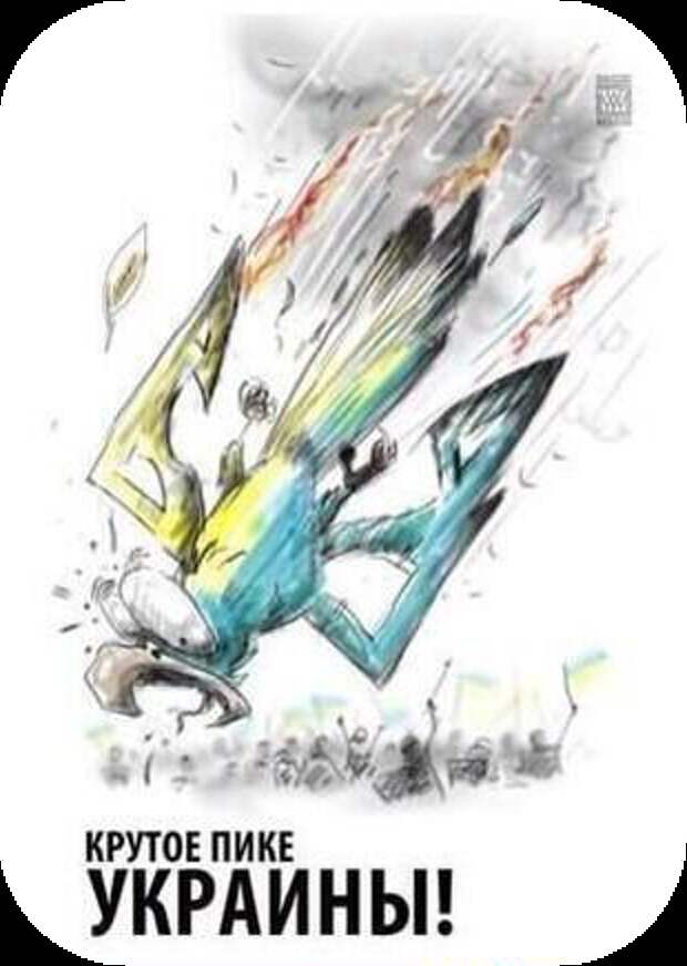 Я-Ватник-разное-попугай-живность-1245715 (310x436, 197Kb)