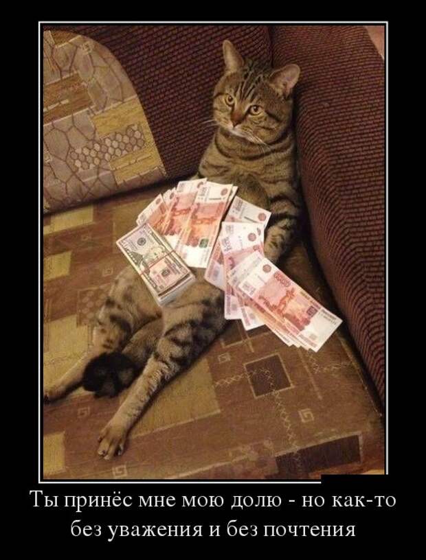 Демотиваторы