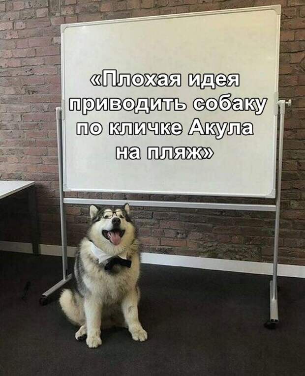 Подборка картинок. Вечерний выпуск (20 фото)