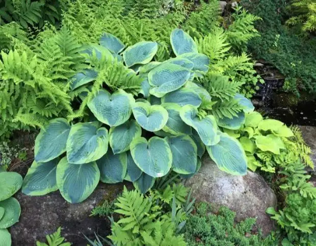 Роскошный сад на вашем участке: 15 универсальных приемов