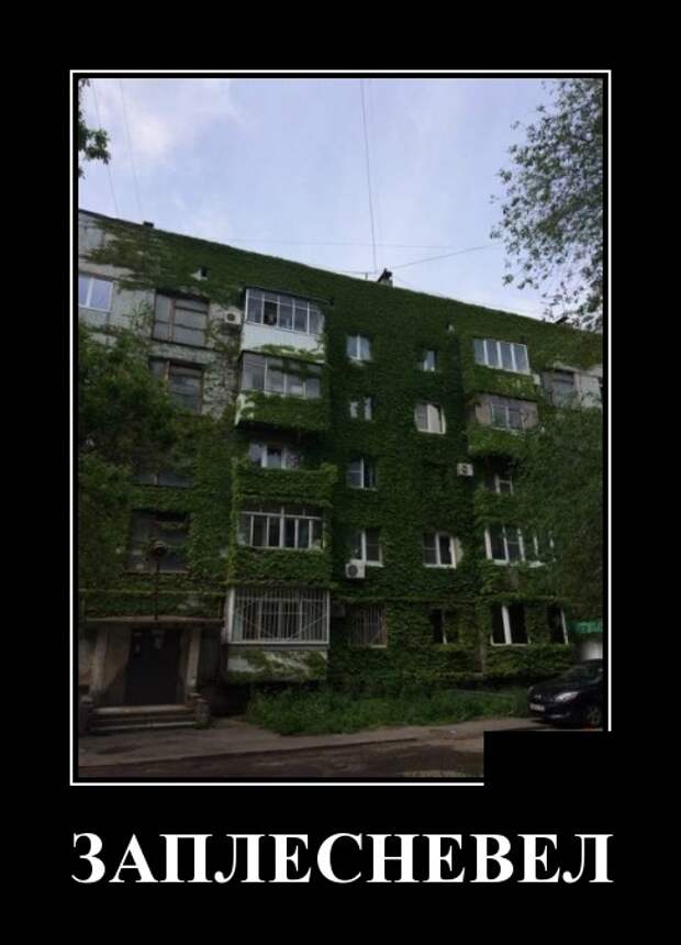 Демотиваторы (30 фото)