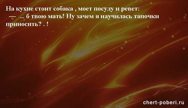 Самые смешные анекдоты ежедневная подборка chert-poberi-anekdoty-chert-poberi-anekdoty-58130208062020-11 картинка chert-poberi-anekdoty-58130208062020-11
