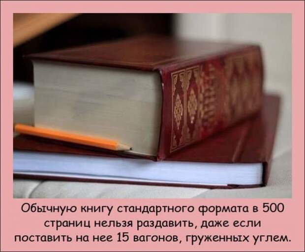 Интересные факты (20 фото)