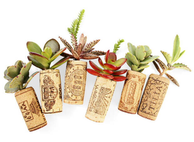 wine stopper wine stopper