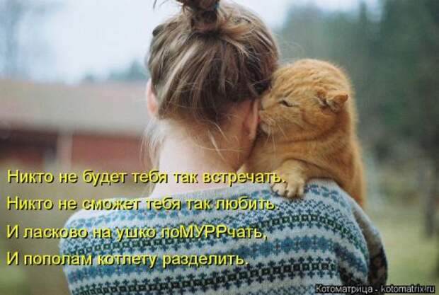 Свежая котоматрица для всех (38 фото)