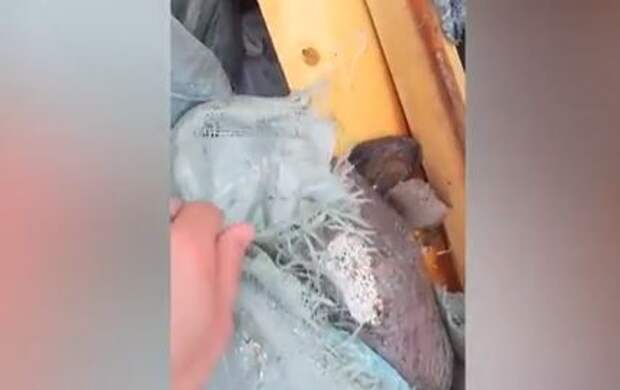 В крематории в Архангельске прокомментировали информацию о выброшенном на помойку прахе усопших