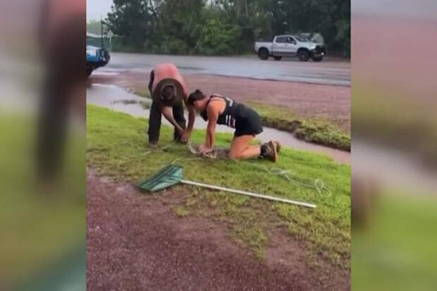 ABC News: в Австралии женщина голыми руками скрутила крокодила