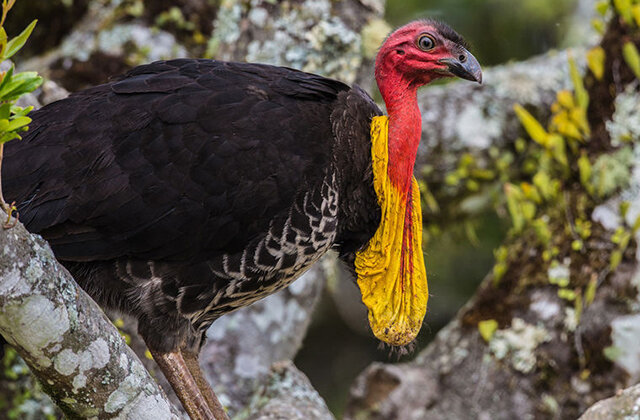 Фото: © Flickr Hive Mind
