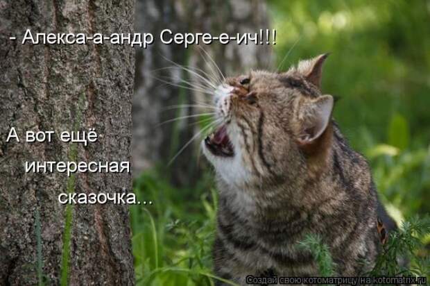 Лучшие котоматрицы недели (50 фото) Лучшие котоматрицы недели (50 фото)