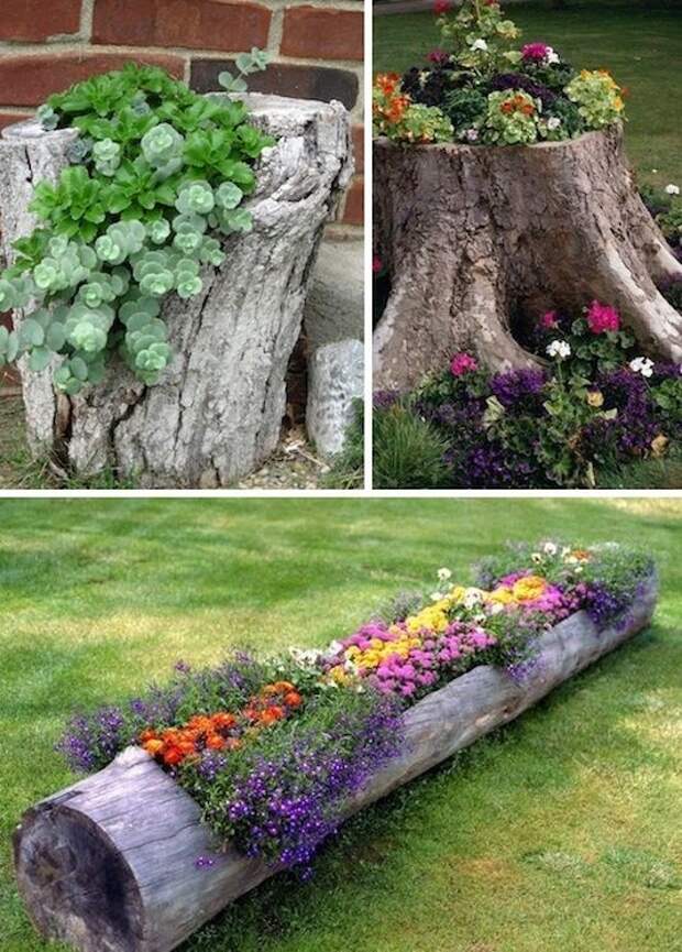 24 Creative Garden Container Ideas | Use tree stumps and logs as planters!: 