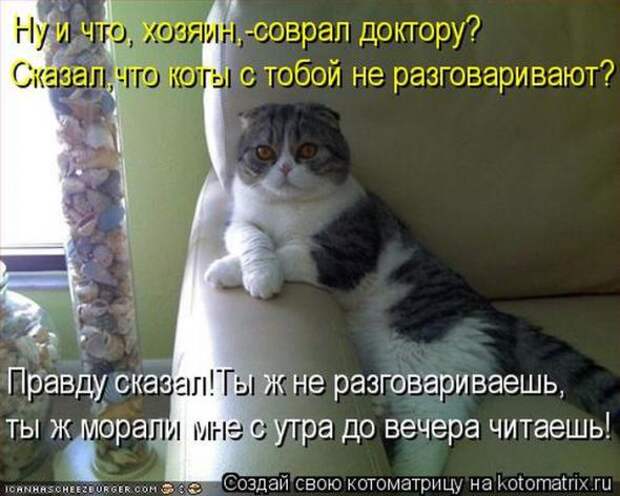 Котоматрицы (картинки с надписями)