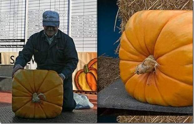 unusual-fruit-and-vegetables29