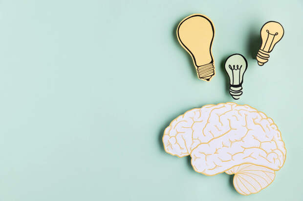 copy-space-paper-brain-with-light-bulb.jpg