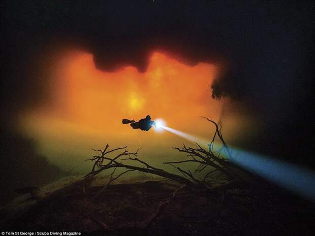 Подводная пещера, Тулум, Мексика. Фотограф - Том Сент-Джордж. 3 место в категории "широкий формат" Лучшие подводные фотографии года, красота, победители конкурса, подводная фотография, подводное фото, подводный мир, фотоконкурс, фотоконкурсы. природа