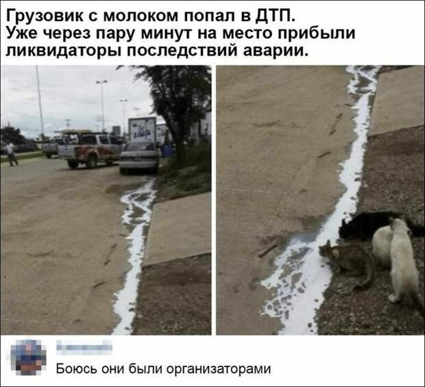 Ликвидаторы
