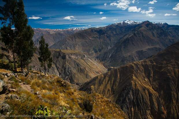 Спускаемся в глубочайший каньон на Земле colca15 Спускаемся в глубочайший каньон на Земле