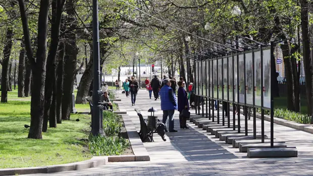 Выставка конкурса Стенина открылась в центре Москвы